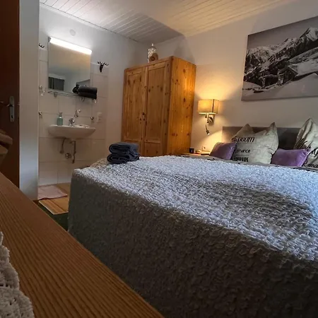 Am Riedanger Apartment Mayrhofen