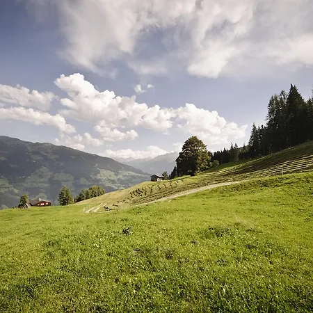 Am Riedanger Apartment Mayrhofen