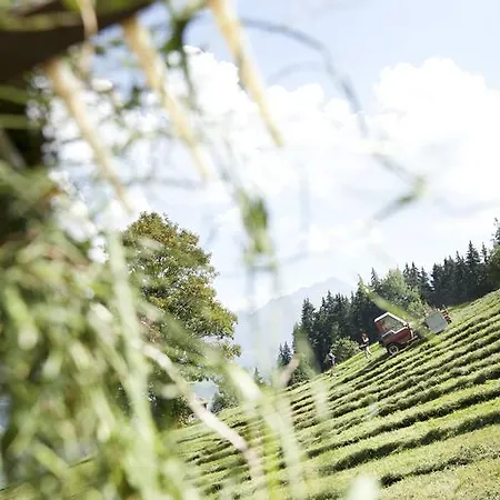Am Riedanger Mayrhofen