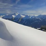 Appartement Am Riedanger Mayrhofen